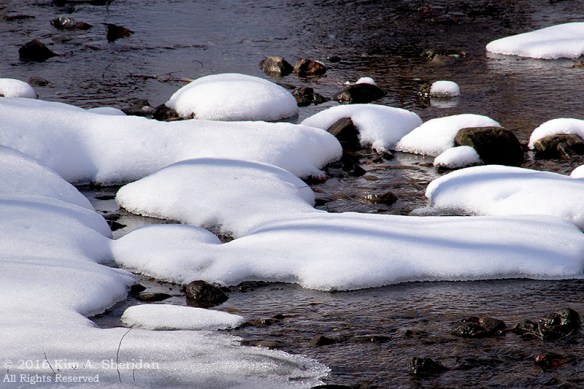160127_PA Glendale Park Snow_8044acs
