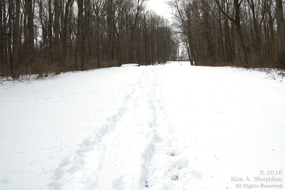 160129_PA Holtwood Pinnacle Snow_8336acs