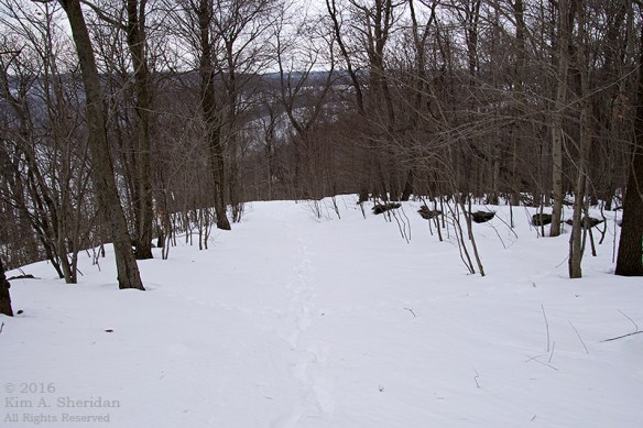 160129_PA Holtwood Pinnacle Snow_8373acs