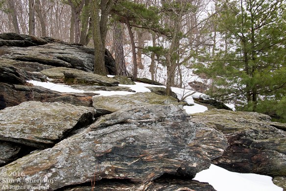 160129_PA Holtwood Pinnacle Snow_8419acs