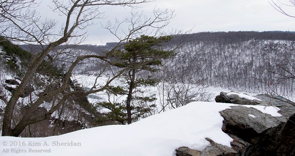 160129_PA Holtwood Pinnacle Snow_8427a