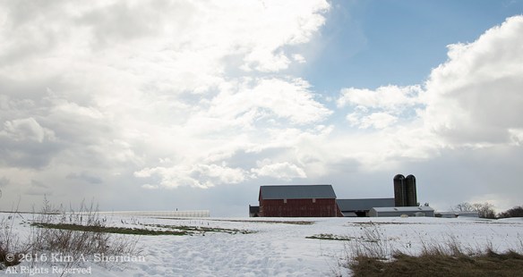 160129_PA Lancaster Farms Snow_8582acs
