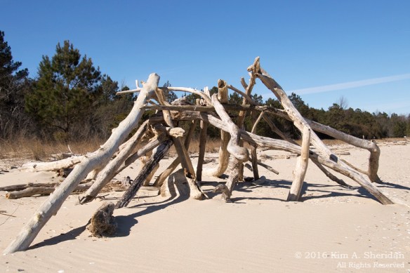 160214_MD Fossil Hunting_0262acs