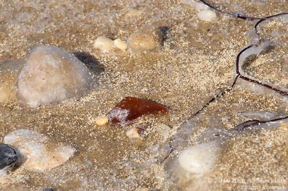 160214_MD Point Lookout_0057acs1