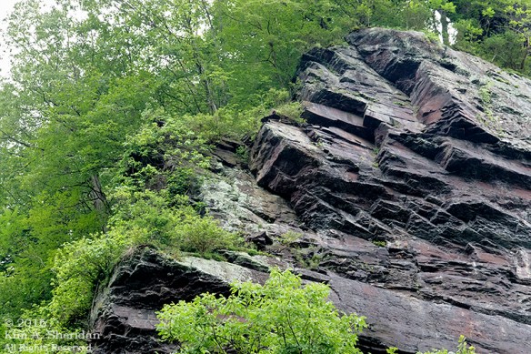 150620_PA Delaware Canal SP_9554a