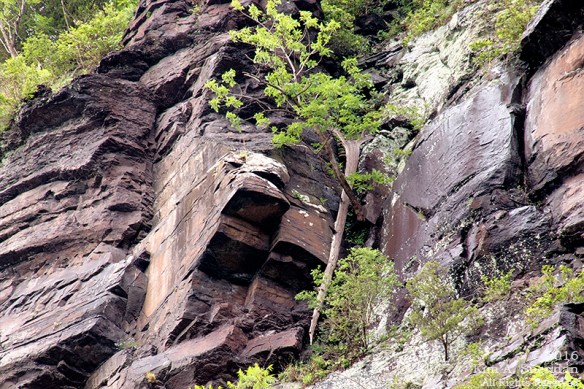 150620_PA Delaware Canal SP_9589acs