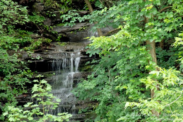 150620_PA Delaware Canal SP_9603acs