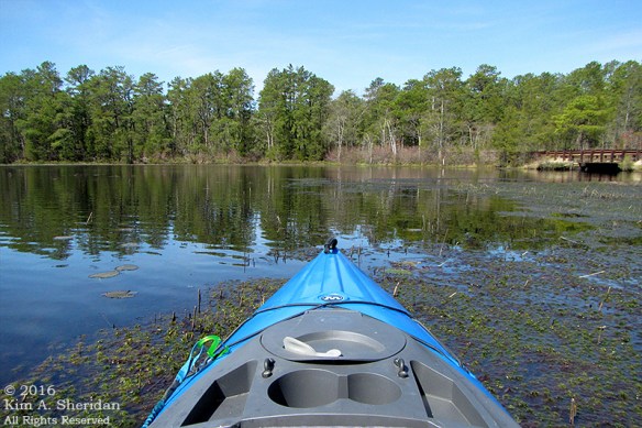 160418_NJ Oswego Lake Kayak_3190acs