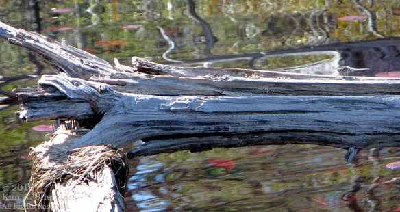 160418_NJ Oswego Lake Kayak_3264acs