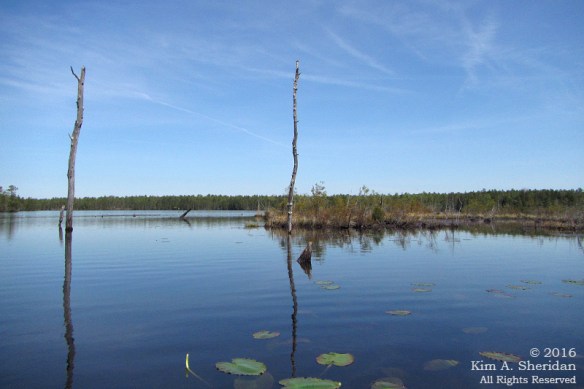 160418_NJ Oswego Lake Kayak_3285acs