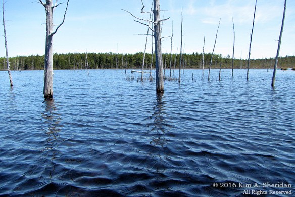 160418_NJ Oswego Lake Kayak_3295acs