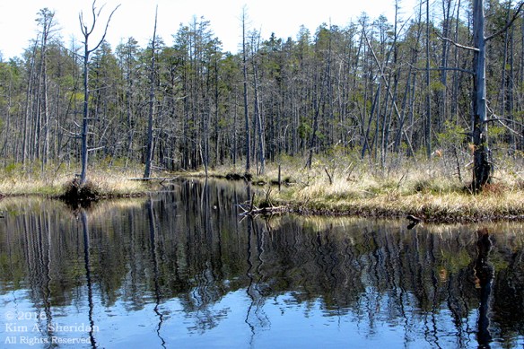 160418_NJ Oswego Lake Kayak_3322acs