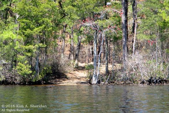 160418_NJ Oswego Lake Kayak_3393acs