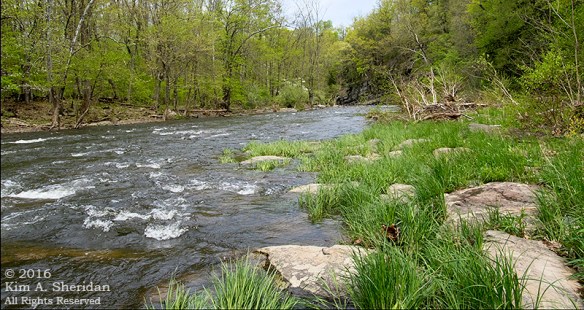 160509_PA Doans Cave_7325acs