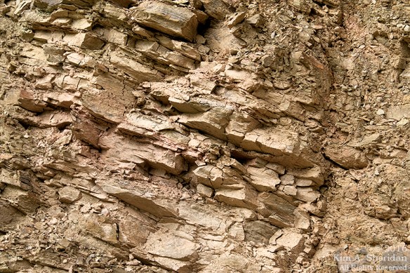 160703_WV Seneca Rocks_2542acs