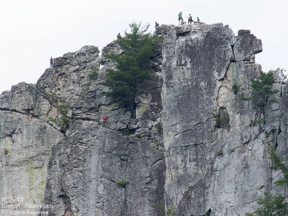 160703_WV Seneca Rocks_2703