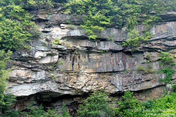 160704_WV Blackwater Falls_2809acs