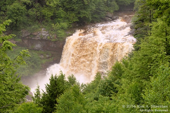 160705_WV Blackwater Falls_3102acs
