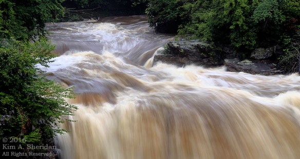 160705_WV Blackwater Falls_3186acs