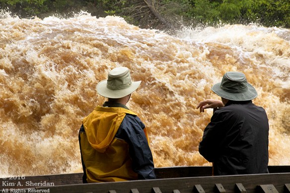 160705_WV Blackwater Falls_3247acs