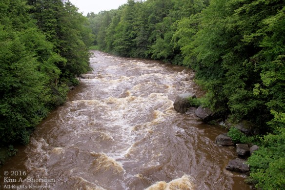 160705_WV Blackwater River_3132acs