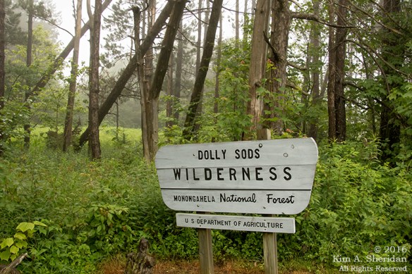 160705_WV Dolly Sods_3263a