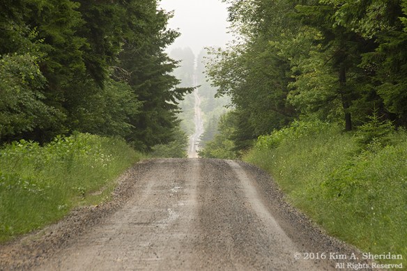 160705_WV Dolly Sods_3319acs