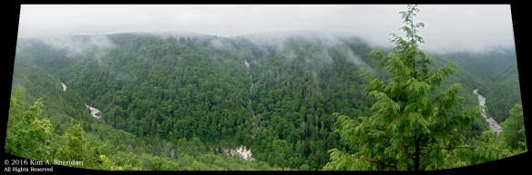 160705_WV Pendleton Point Panorama acs