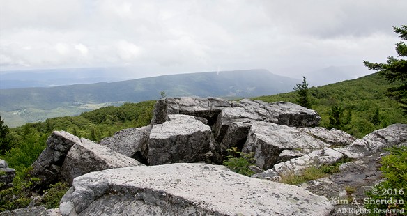 160705_WV Dolly Sods_3614acs