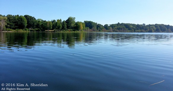 160723_mi-lincoln-lake-102454acs