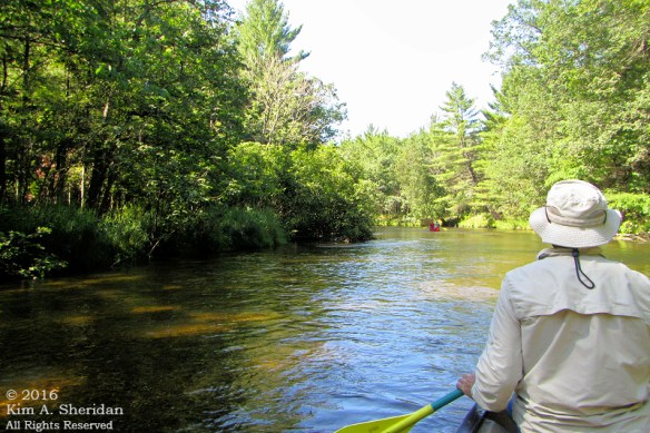 160726_mi-pere-marquette-river-canoe_4094acs