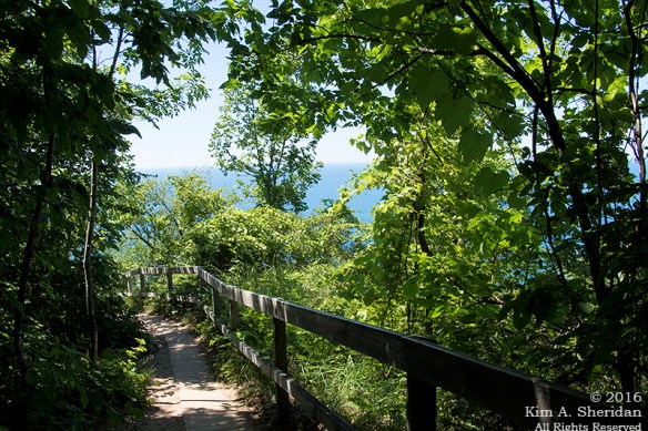 160725_mi-sleeping-bear-dunes-4-empire-bluffs_4791acs