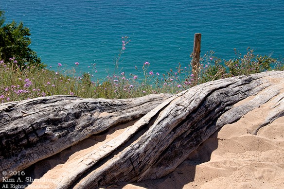 160725_mi-sleeping-bear-dunes-4-empire-bluffs_4885acs