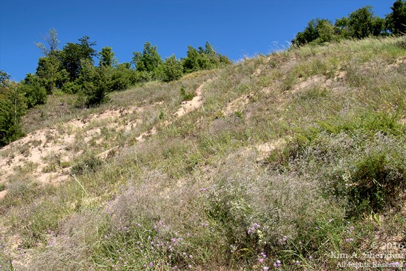 160725_mi-sleeping-bear-dunes-4-empire-bluffs_4933acs