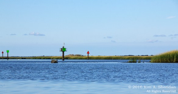 160926_nj-middle-thoroughfare-kayak_9582acs