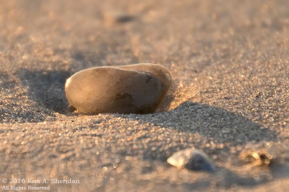 160928_nj-oc-sunrise_9138acs