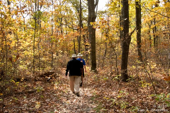 161030_pa-mt-nittany_3699acs