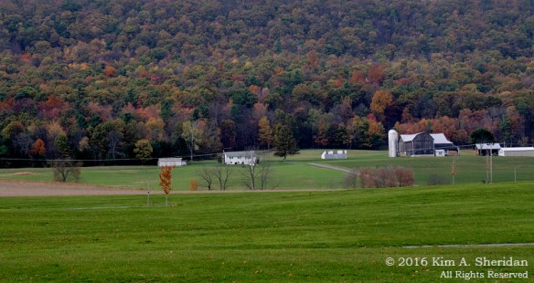 161029_pa-penns-cave_2702acs