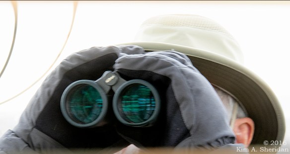 161126_nj-gateway-nra-sandy-hook-light_6945a