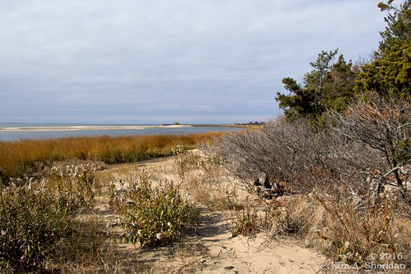 161126_nj-gateway-nra-sandy-hook_6855acs