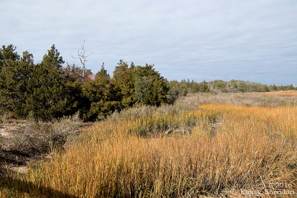 161126_nj-gateway-nra-sandy-hook_6873acs