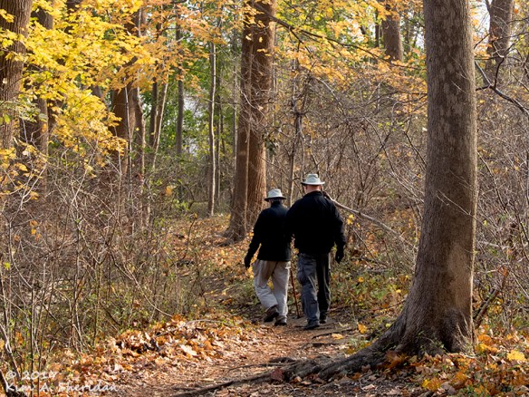 161126_nj-hartshorne-woods_6537acs