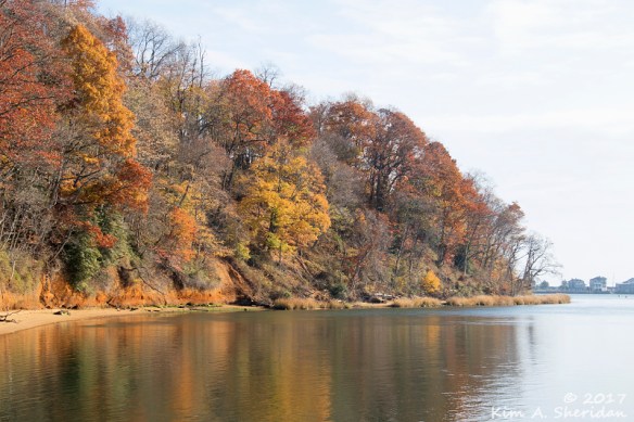 161126_nj-hartshorne-woods_6582acs