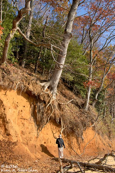 161126_nj-hartshorne-woods_6620acs