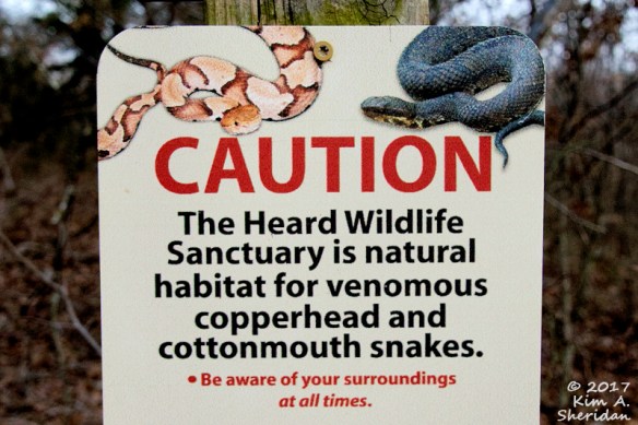 161228_tx-heard-nature-sanctuary_7546acs