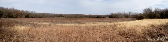 2016-12-28_tx-heard-nature-sanctuary-pan-1acs